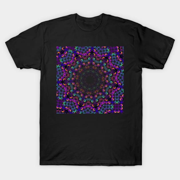 Rose Curve Hendecagon Kaleidoscope | Generative Art T-Shirt by aRtVerse